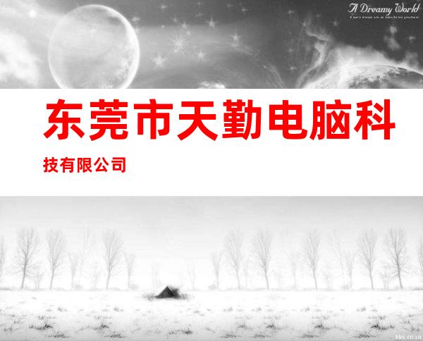 东莞市天勤电脑科技有限公司